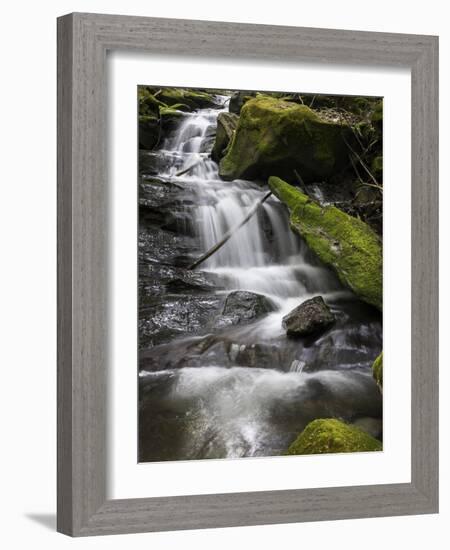 Spring Waters-Brenda Petrella Photography LLC-Framed Giclee Print