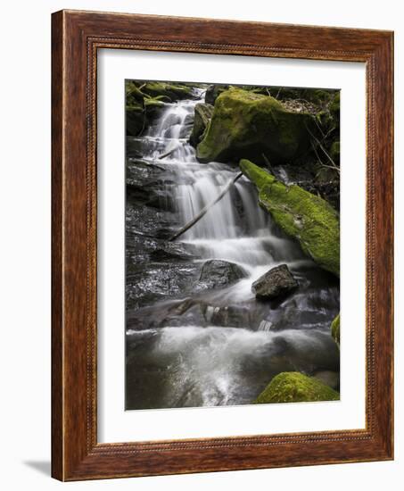 Spring Waters-Brenda Petrella Photography LLC-Framed Giclee Print