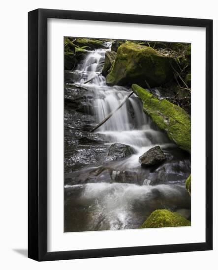 Spring Waters-Brenda Petrella Photography LLC-Framed Giclee Print