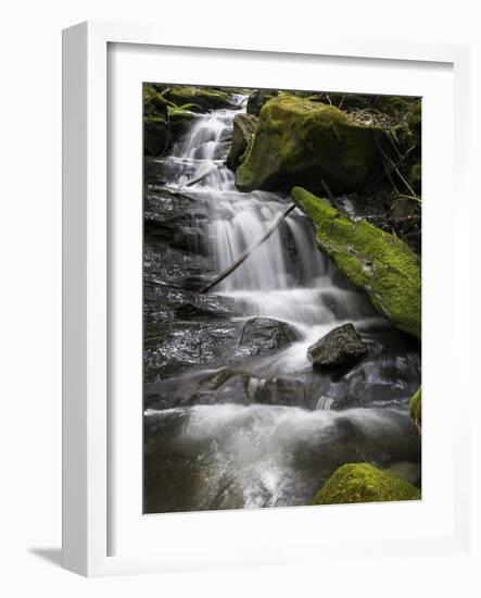 Spring Waters-Brenda Petrella Photography LLC-Framed Giclee Print