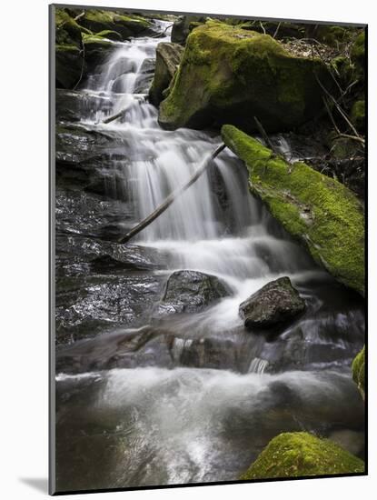 Spring Waters-Brenda Petrella Photography LLC-Mounted Giclee Print