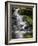 Spring Waters-Brenda Petrella Photography LLC-Framed Giclee Print