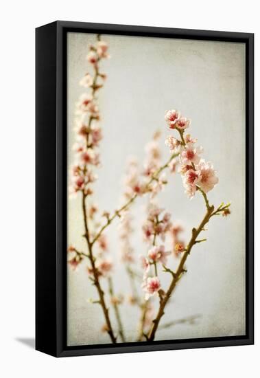 Spring Whispers 2-Jessica Rogers-Framed Premier Image Canvas