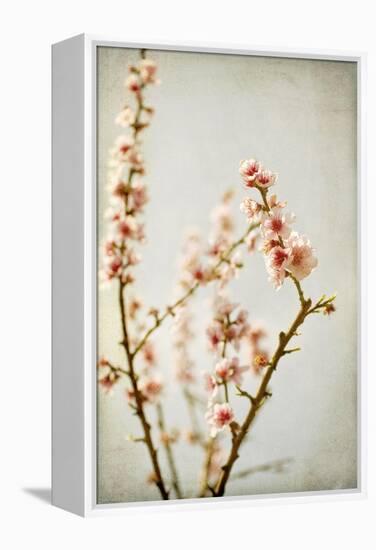 Spring Whispers 2-Jessica Rogers-Framed Premier Image Canvas
