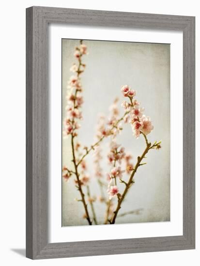 Spring Whispers 2-Jessica Rogers-Framed Giclee Print