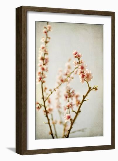 Spring Whispers 2-Jessica Rogers-Framed Giclee Print