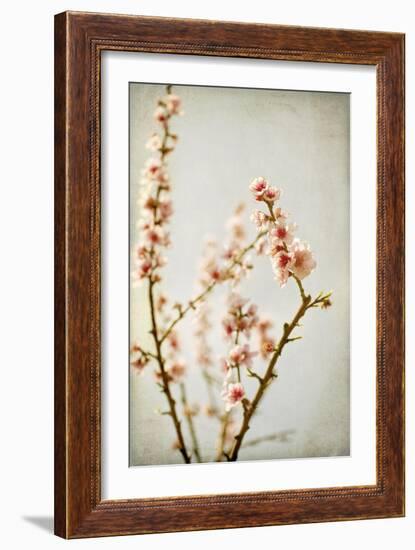 Spring Whispers 2-Jessica Rogers-Framed Giclee Print