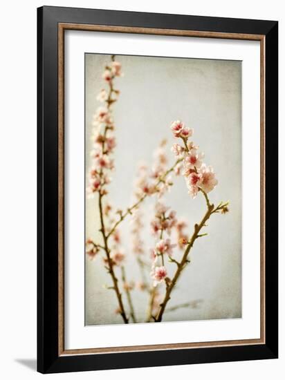 Spring Whispers 2-Jessica Rogers-Framed Giclee Print