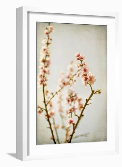 Spring Whispers 2-Jessica Rogers-Framed Giclee Print