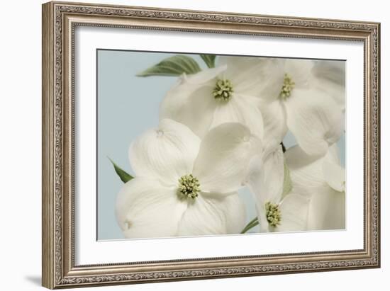 Spring Whites-Julie Greenwood-Framed Art Print