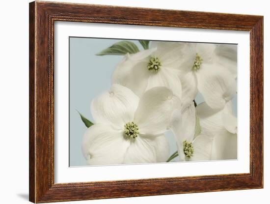 Spring Whites-Julie Greenwood-Framed Art Print