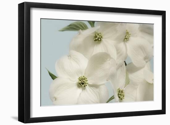 Spring Whites-Julie Greenwood-Framed Art Print