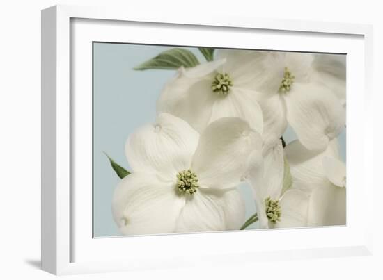 Spring Whites-Julie Greenwood-Framed Art Print