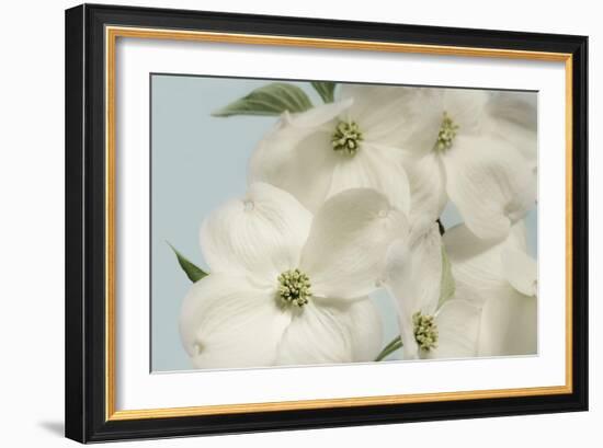 Spring Whites-Julie Greenwood-Framed Art Print