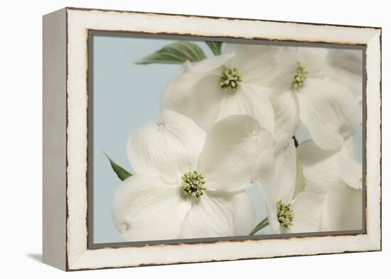 Spring Whites-Julie Greenwood-Framed Stretched Canvas