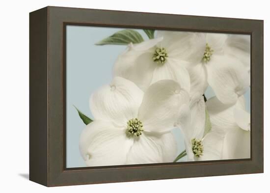 Spring Whites-Julie Greenwood-Framed Stretched Canvas