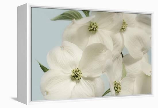 Spring Whites-Julie Greenwood-Framed Stretched Canvas