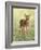 Spring Whitetail Fawn-Crista Forest-Framed Giclee Print