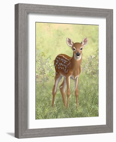 Spring Whitetail Fawn-Crista Forest-Framed Giclee Print