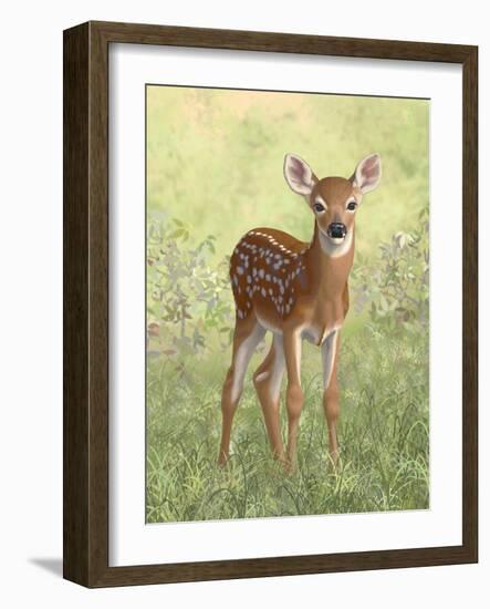 Spring Whitetail Fawn-Crista Forest-Framed Giclee Print