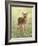 Spring Whitetail Fawn-Crista Forest-Framed Giclee Print