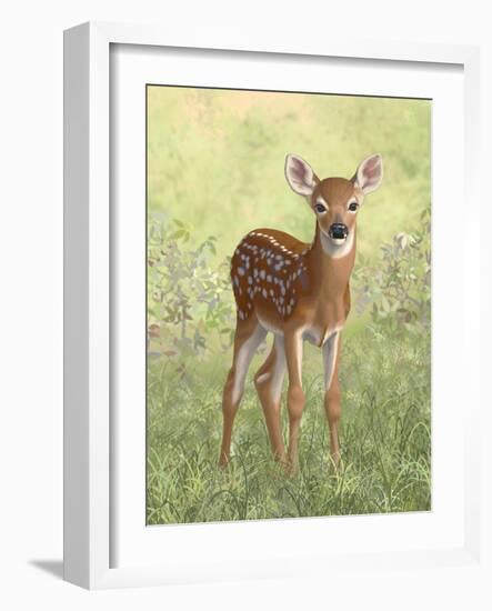 Spring Whitetail Fawn-Crista Forest-Framed Giclee Print