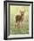 Spring Whitetail Fawn-Crista Forest-Framed Giclee Print