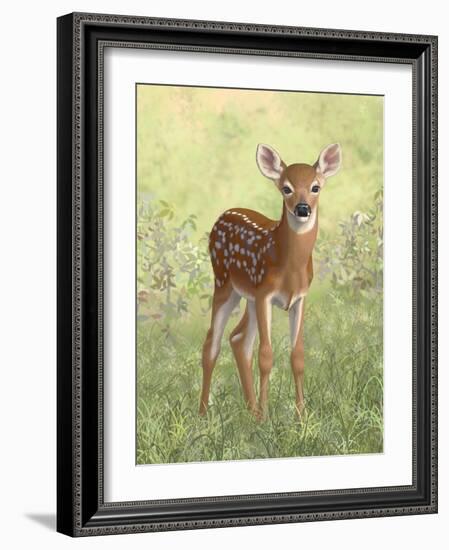 Spring Whitetail Fawn-Crista Forest-Framed Giclee Print