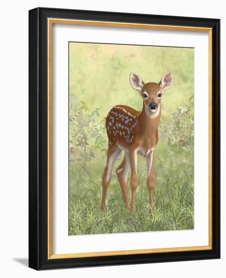 Spring Whitetail Fawn-Crista Forest-Framed Giclee Print