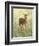 Spring Whitetail Fawn-Crista Forest-Framed Giclee Print