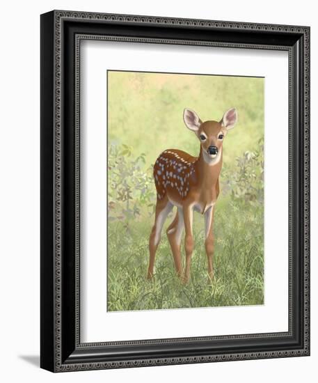 Spring Whitetail Fawn-Crista Forest-Framed Giclee Print