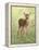 Spring Whitetail Fawn-Crista Forest-Framed Premier Image Canvas