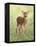 Spring Whitetail Fawn-Crista Forest-Framed Premier Image Canvas