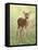 Spring Whitetail Fawn-Crista Forest-Framed Premier Image Canvas