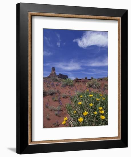 Spring Wildflowers Bloom, Canyonlands National Park, Utah, USA-Paul Souders-Framed Photographic Print