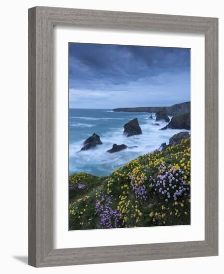 Spring Wildflowers Growing on the Clifftops at Bedruthan Steps, Cornwall, England. May-Adam Burton-Framed Photographic Print