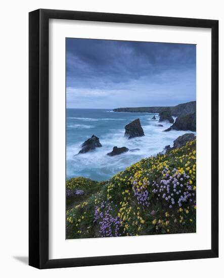 Spring Wildflowers Growing on the Clifftops at Bedruthan Steps, Cornwall, England. May-Adam Burton-Framed Photographic Print