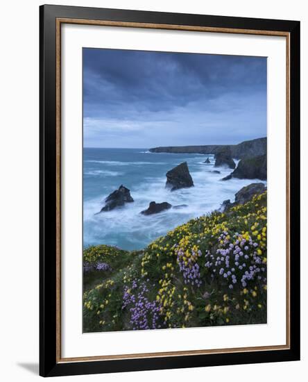 Spring Wildflowers Growing on the Clifftops at Bedruthan Steps, Cornwall, England. May-Adam Burton-Framed Photographic Print