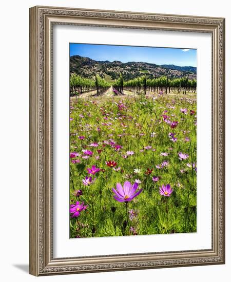 Spring Wildflowers Of Napa Valley-George Oze-Framed Photographic Print