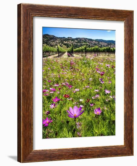 Spring Wildflowers Of Napa Valley-George Oze-Framed Photographic Print