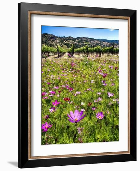 Spring Wildflowers Of Napa Valley-George Oze-Framed Photographic Print