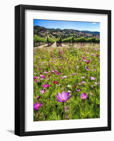 Spring Wildflowers Of Napa Valley-George Oze-Framed Photographic Print