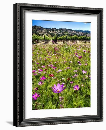 Spring Wildflowers Of Napa Valley-George Oze-Framed Photographic Print