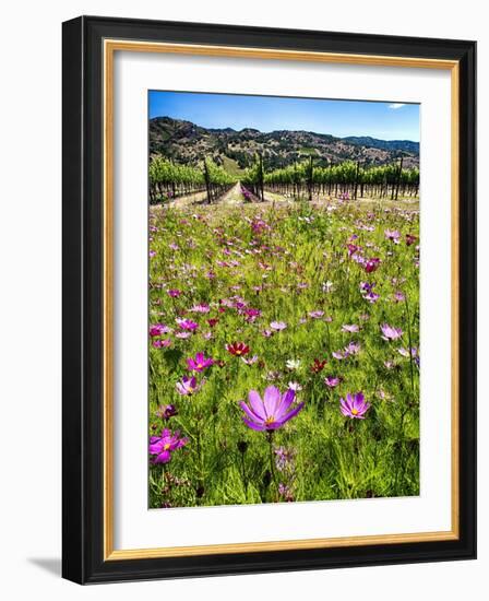 Spring Wildflowers Of Napa Valley-George Oze-Framed Photographic Print