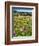 Spring Wildflowers Of Napa Valley-George Oze-Framed Photographic Print