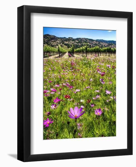 Spring Wildflowers Of Napa Valley-George Oze-Framed Photographic Print