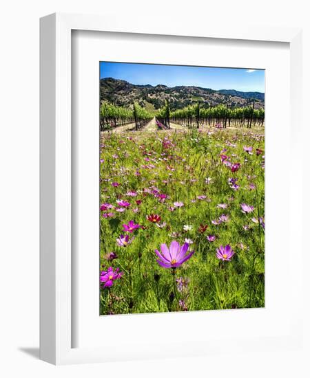 Spring Wildflowers Of Napa Valley-George Oze-Framed Photographic Print