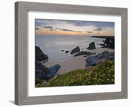 Spring Wildflowers on the Clifftops Overlooking Bedruthan Steps, North Cornwall-Gavin Hellier-Framed Photographic Print