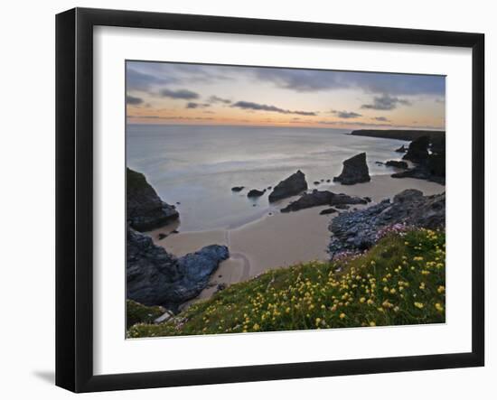 Spring Wildflowers on the Clifftops Overlooking Bedruthan Steps, North Cornwall-Gavin Hellier-Framed Photographic Print