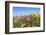 Spring Wildflowers, Papkuilsfontein Farm, Nieuwoudtville, Northern Cape, South Africa, Africa-Ann & Steve Toon-Framed Photographic Print